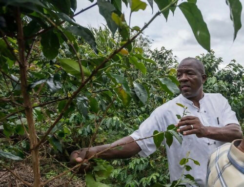 【好·物 Craving Good】烏干達「喝·望」掛耳包咖啡 | Uganda "Sip of Hope" Coffee Drip Bag