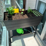 【Grow Something】Urban Bloomer 種植套裝 Planting Set