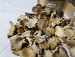 【香城遺菇 Urban Mushroom】風乾混合蠔菇 Dried Oyster mushroom